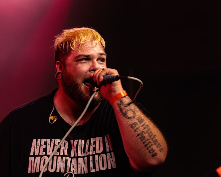 Man with blonde hair and beard singing into microphone on stage, wearing black t-shirt with text, tattooed arm visible, pink and red stage lighting